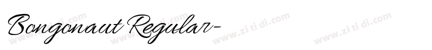 Bongonaut Regular字体转换